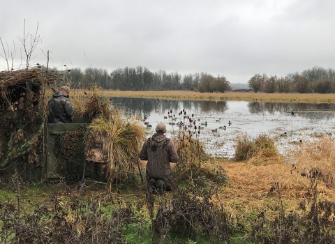 Two duck hunters next to a blind, with water in the distance, at Ridgefield National Wildlife Refuge