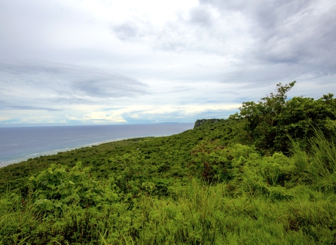 A coastal view of Guam National Wildlife Refuge that overlooks the ocean. The land is covered in lush, green plant live. The clouds paint a grey hue across the sky where it meets the ocean in the distance.