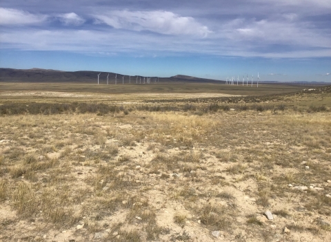 rocky grassy field landscape of Wyoming with wind turbines in the background
