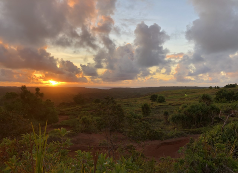 Sun sets over the savanna habitat in the Mariana Islands