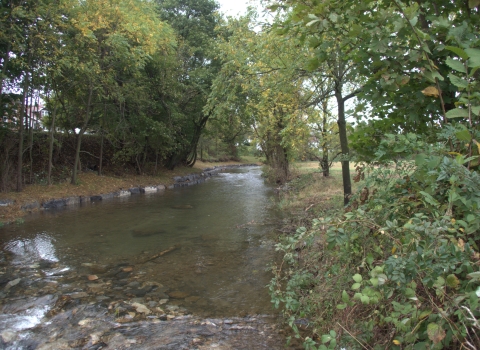Stream with trees and other vegetation growing on the banks. The stream has small boulders in it.