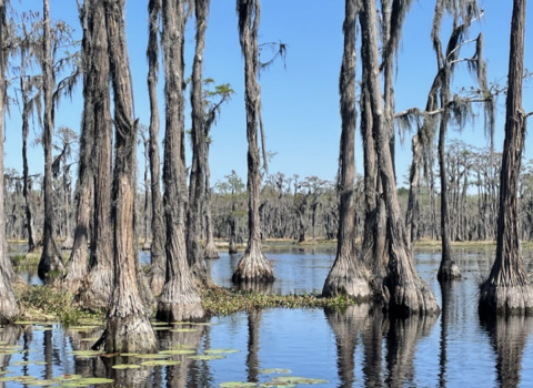 Banks Lake NWR