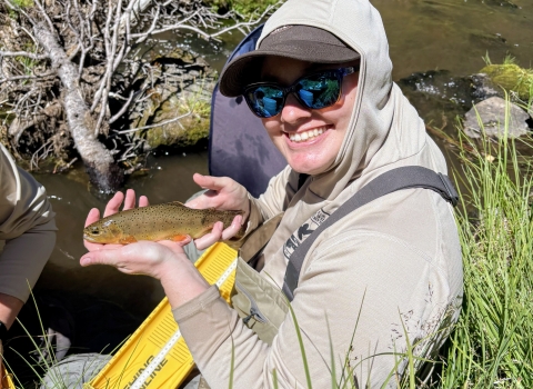 A person wearing outdoor field gear sits beside a grassy streambank, holding an Apache trout over a yellow measuring board. The stream and dense vegetation fill the background.