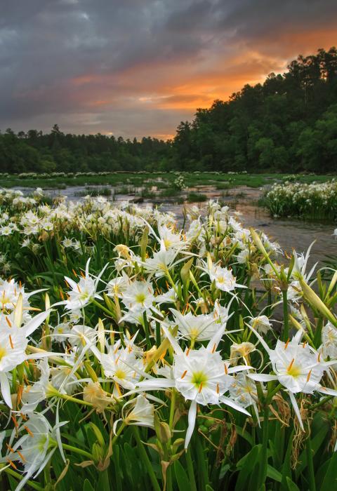 Cahaba River, Alabama