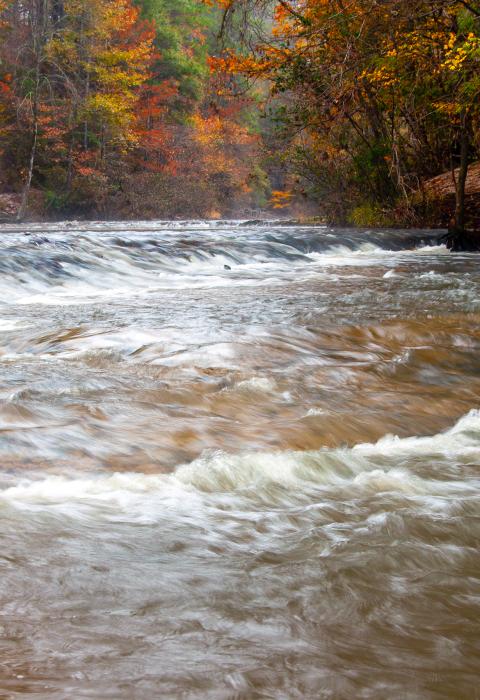 Kisatchie Bayou, Louisiana