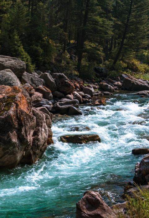 Gallatin River, Montana