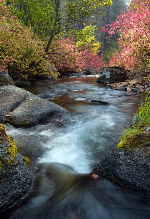 Moose Creek, Wyoming