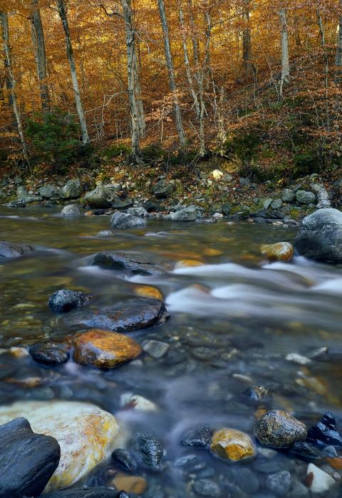 Deerfield River, Massachusetts