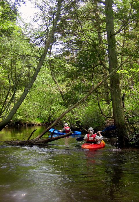 Batso River, New Jersey