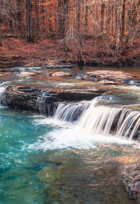 Illinois Bayou, Arkansas