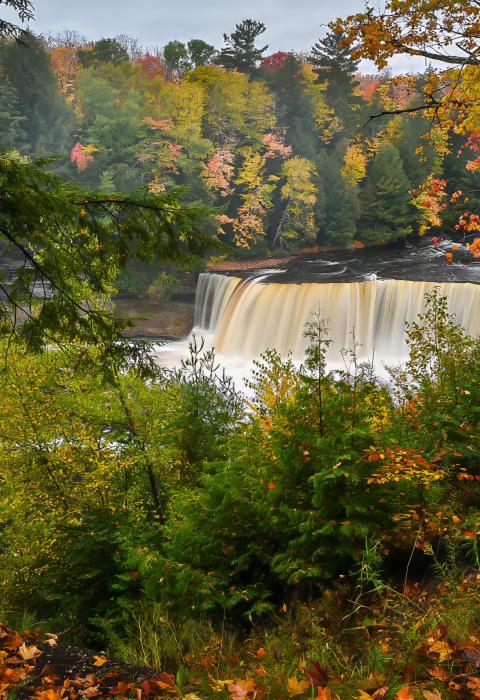 Tahquamenon River, Tahquamenon Falls