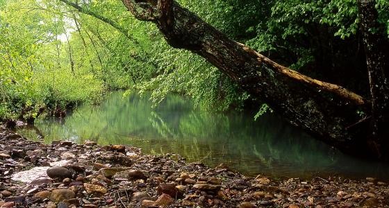 Mulberry River, Arkansas