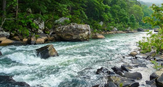Big Piney Creek, Arkansas
