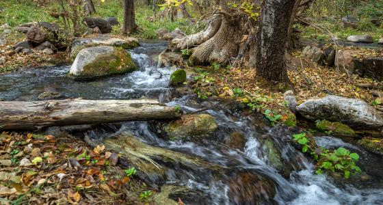 Arizona Rivers Gov   Fossil Creek 