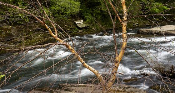 Clear Creek, Tennessee