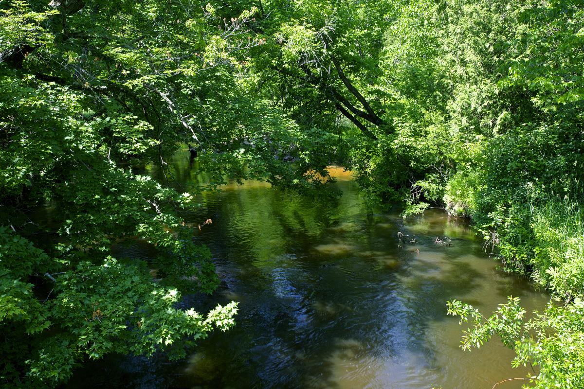 Bear Creek, Michigan