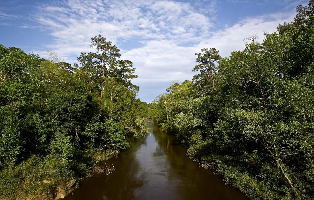 Black Creek, Mississippi