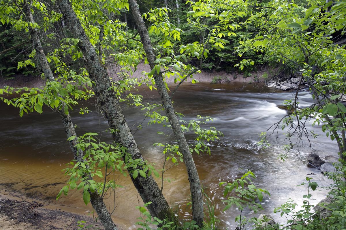 Carp River, Michigan