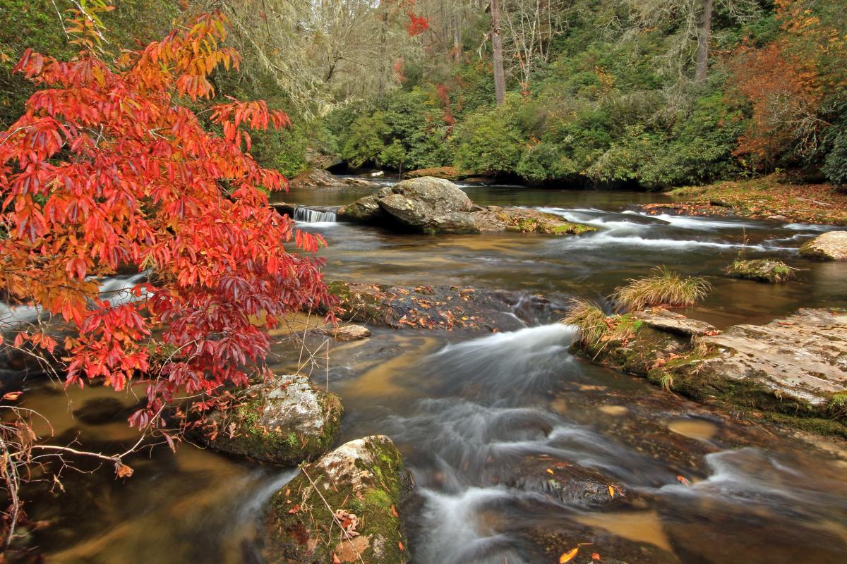 Chattooga River, Georgia