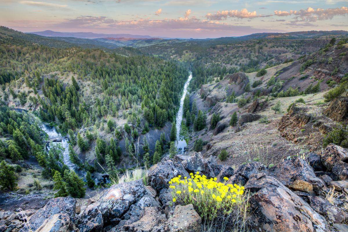 North Fork Crooked River, Oregon