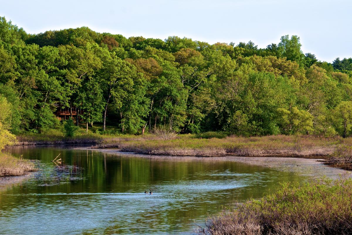 Sudbury River, Massachusetts