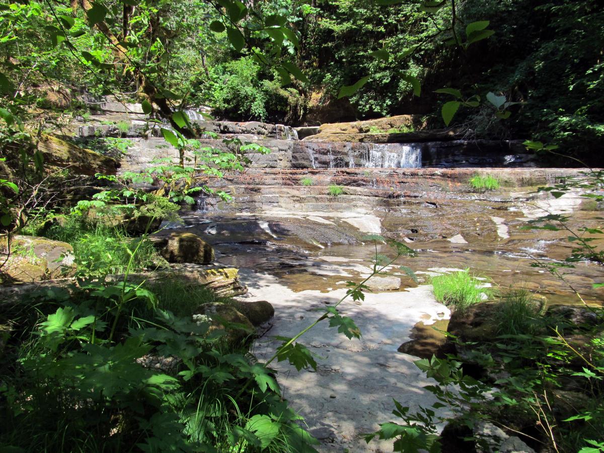 Wasson Creek, Oregon