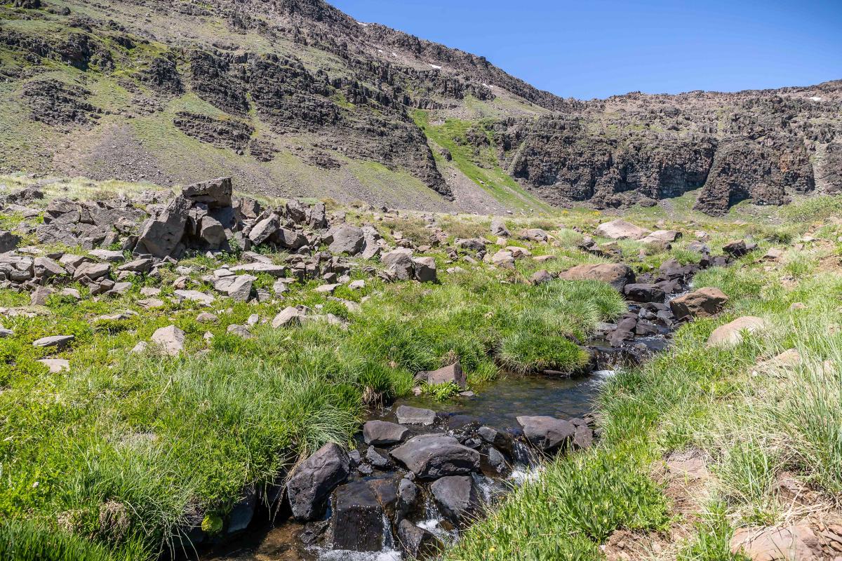 Wildhorse Creek, Oregon