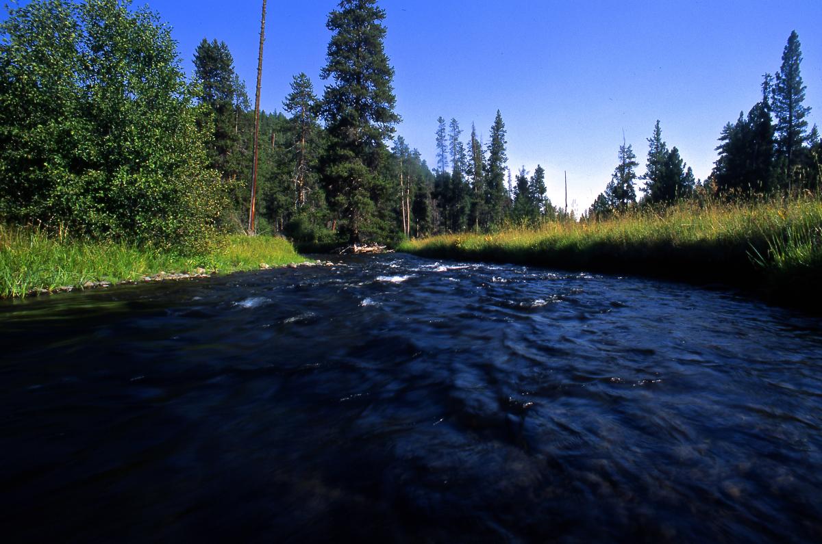 North Fork Malheur River, Oregon