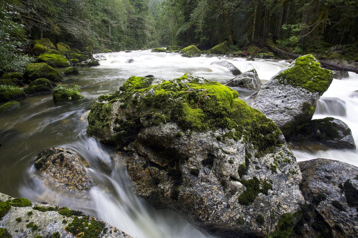 Sauk River, Washington