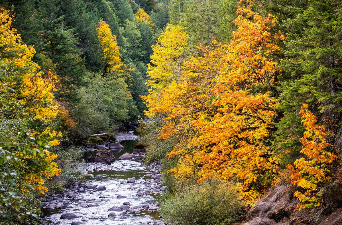 Molalla River, Oregon