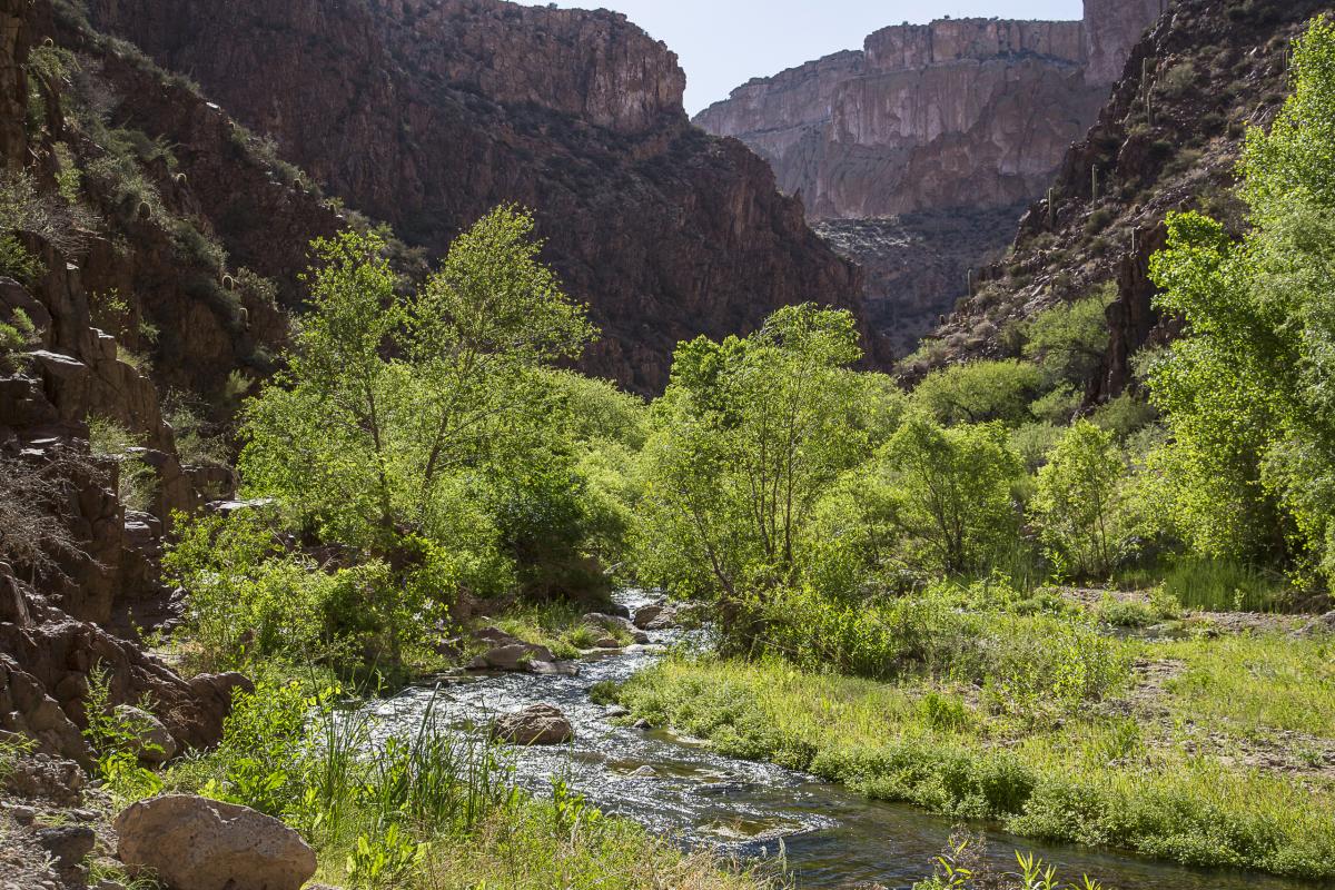 Aravaipa Creek, Arizona