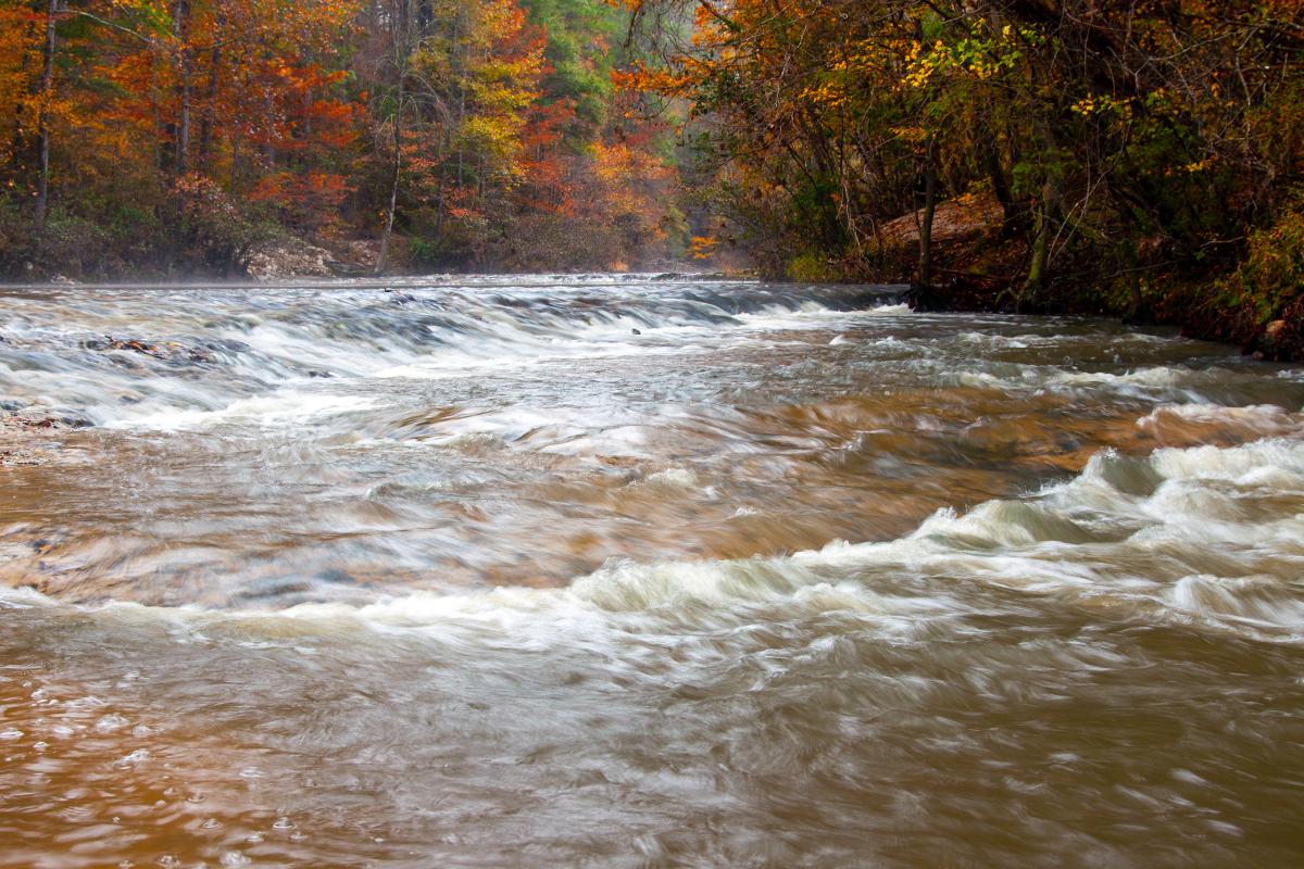 Kisatchie Bayou, Louisiana