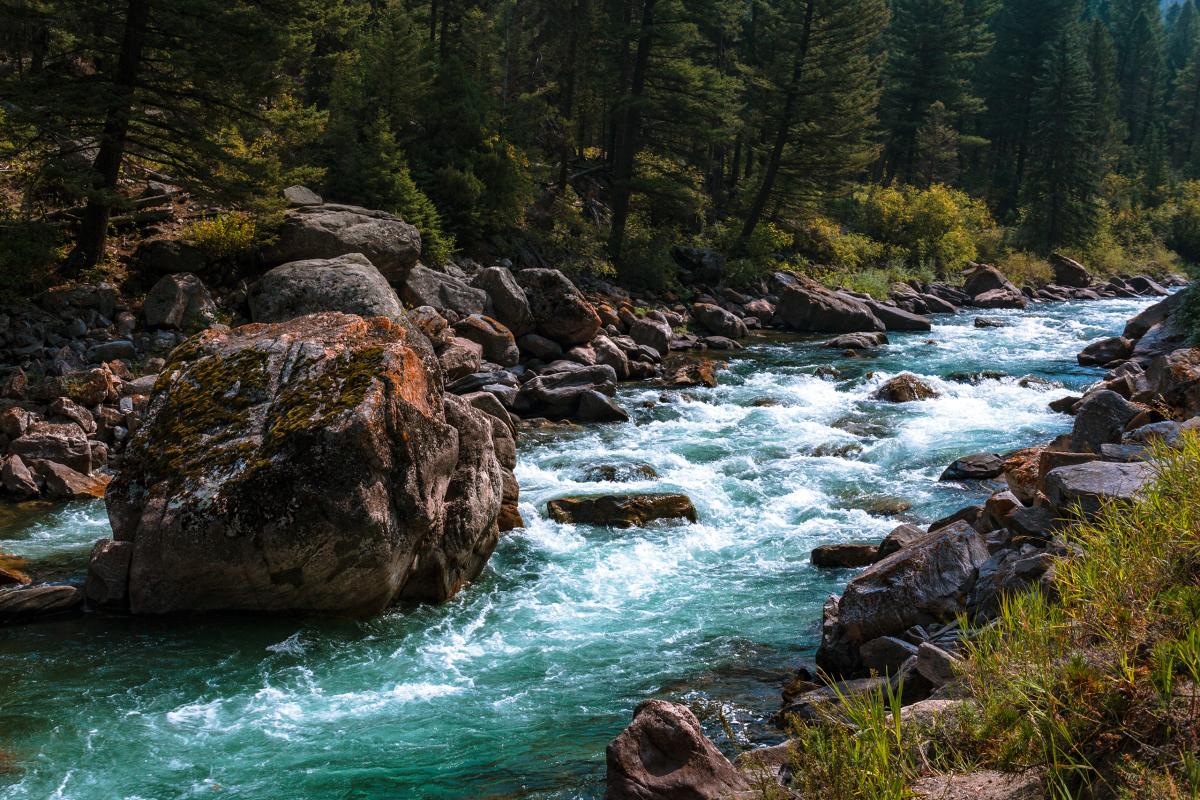 Gallatin River, Montana