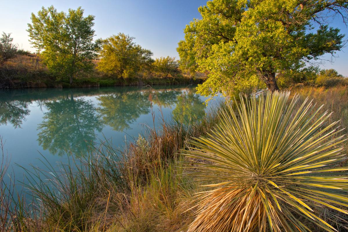 Black River, New Mexico