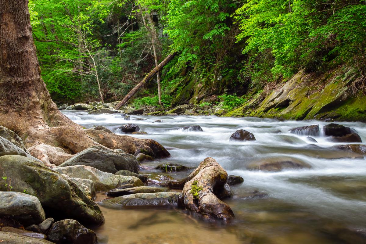 Nantahala River, North Carolina