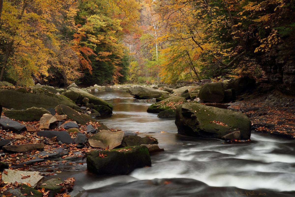 Aurora Branch Chagrin River, Ohio