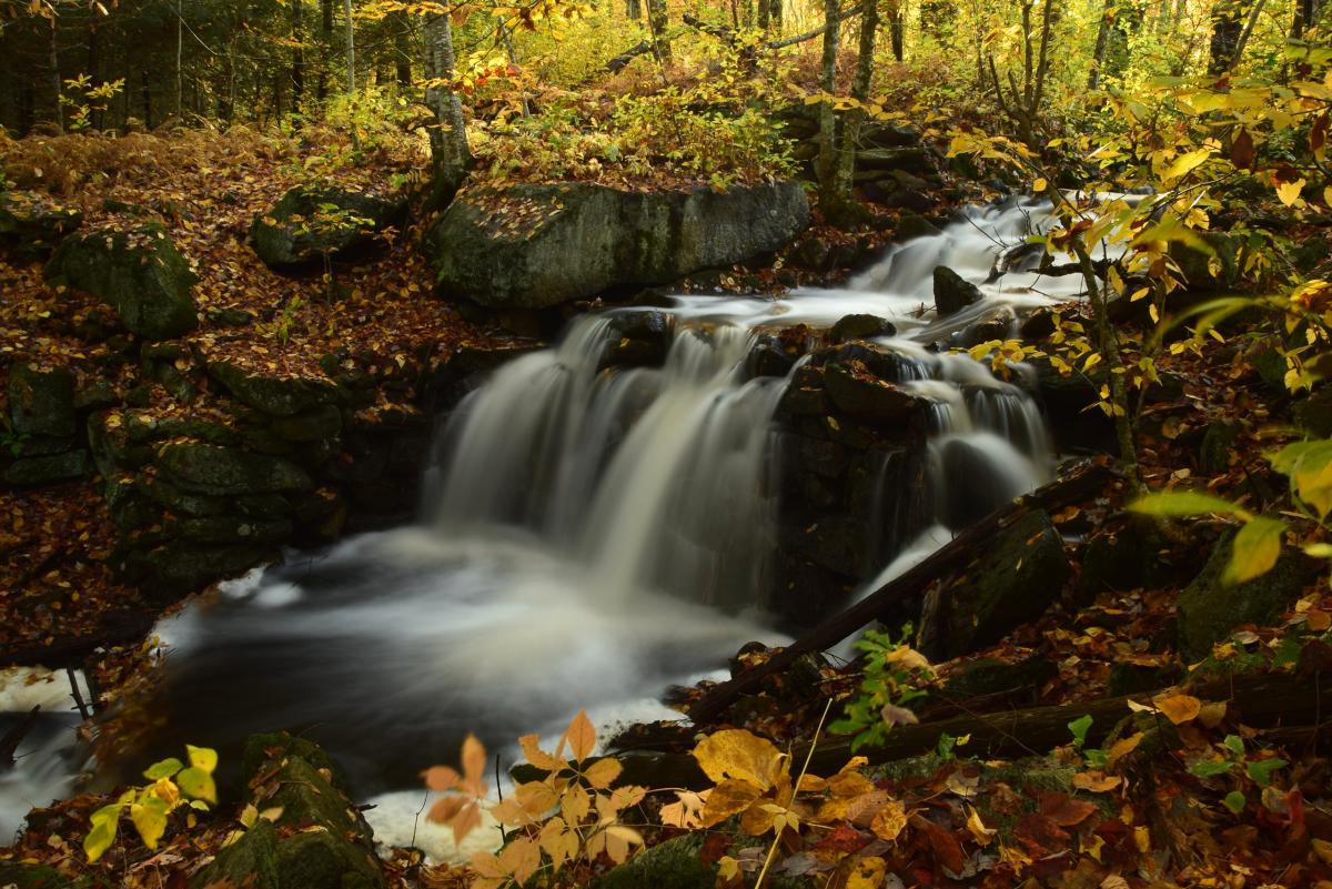 Brandy Brook, Rhode Island