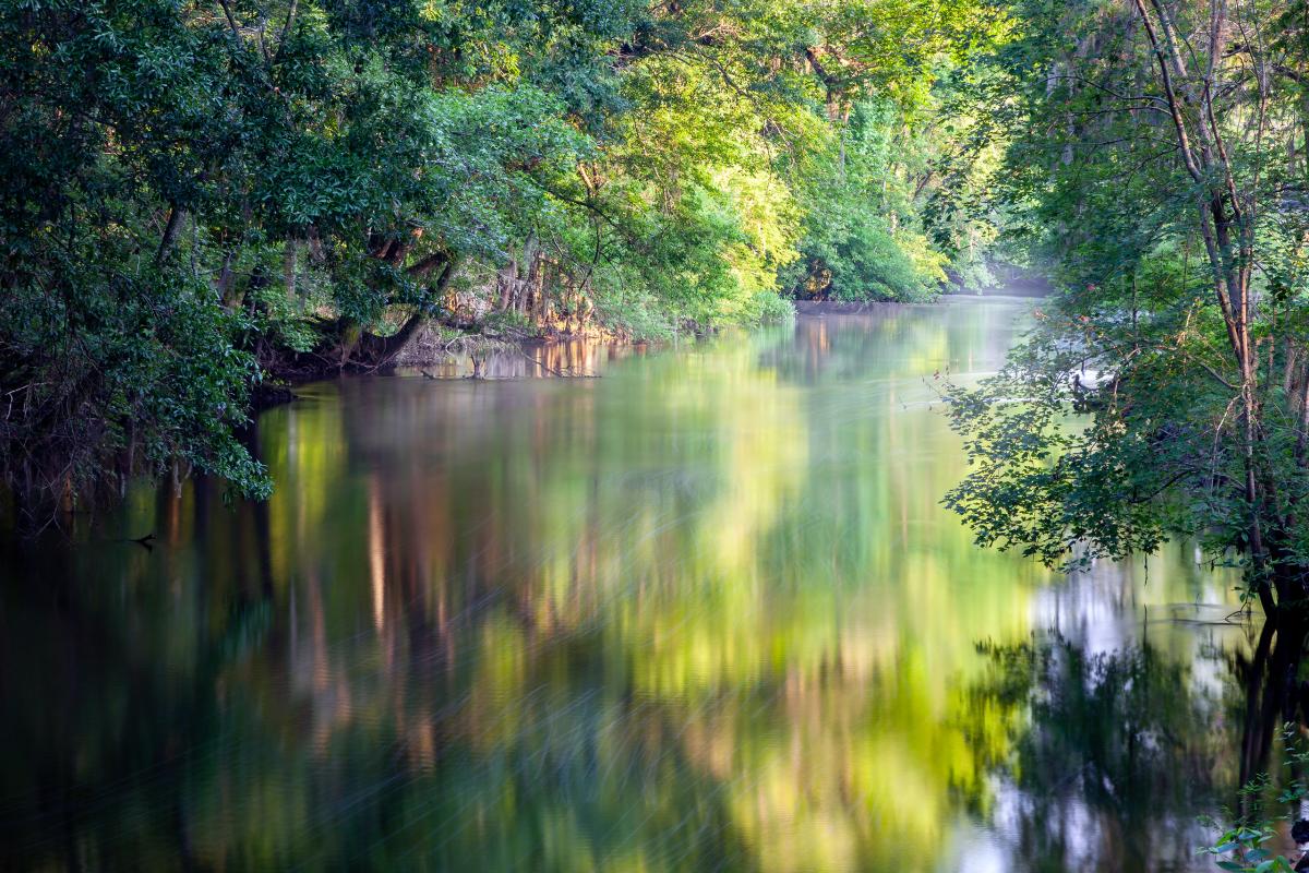 Edisto River, South Carolina