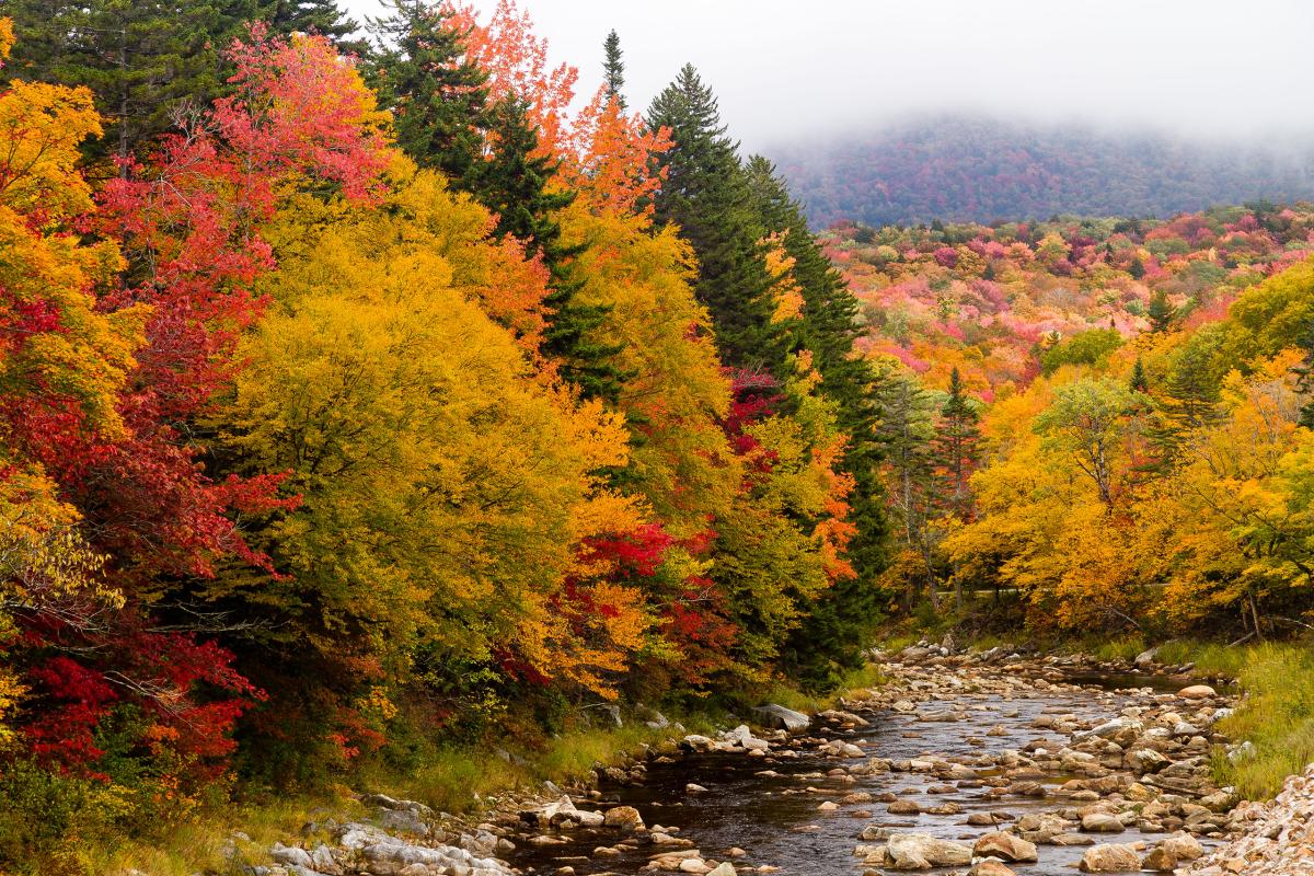 Deerfield River, Vermont