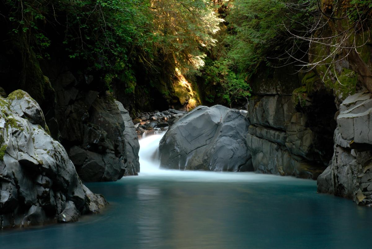 South Fork Hoh River, Washington