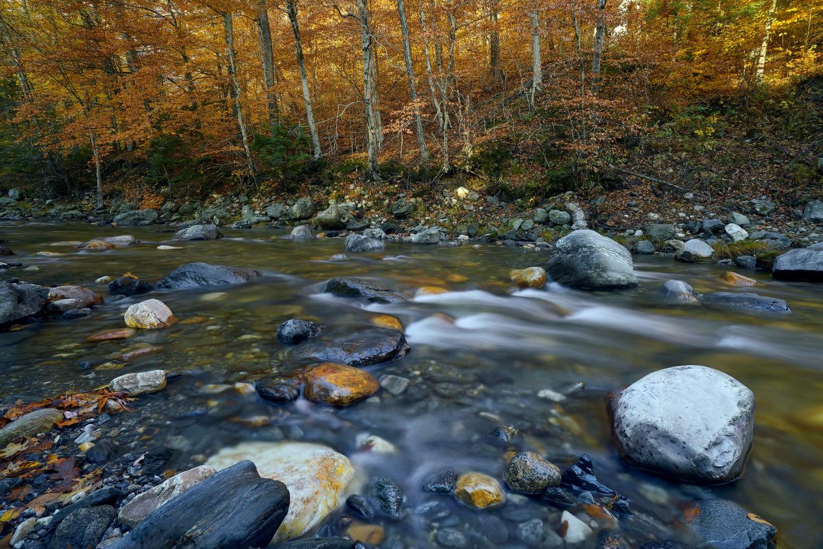 Deerfield River, Massachusetts