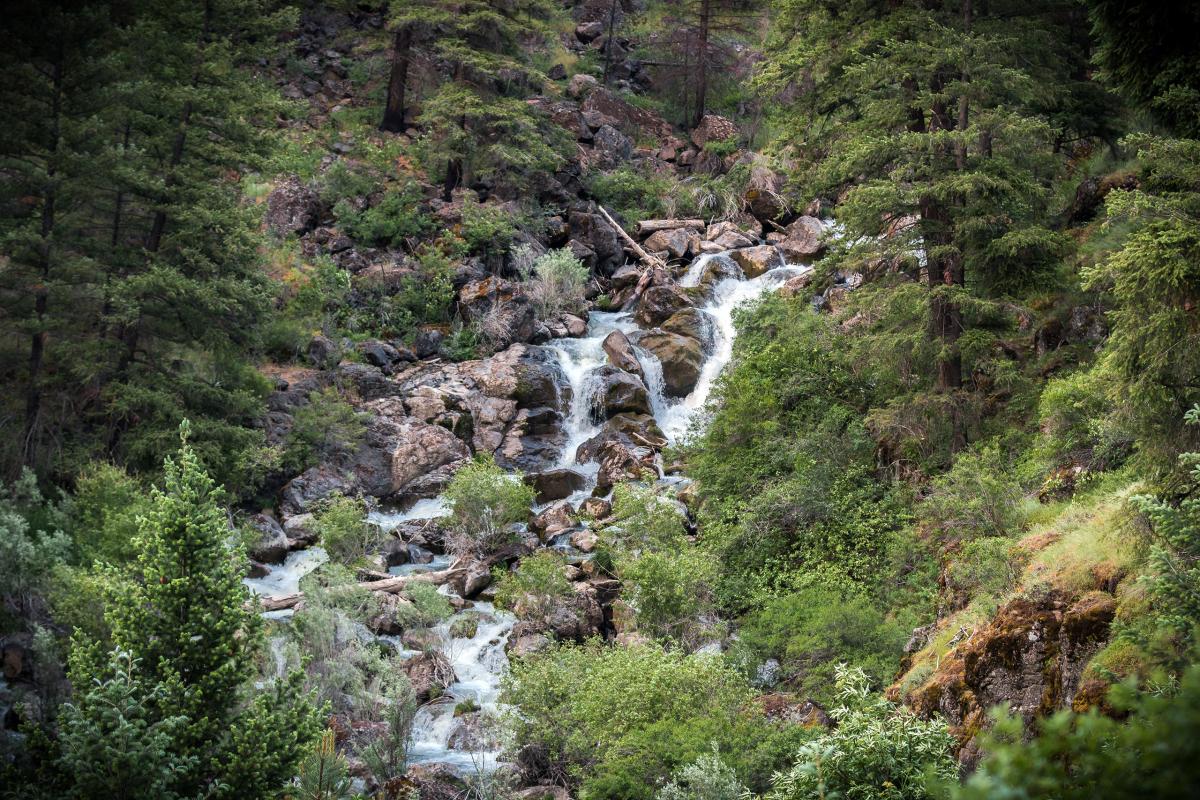 South Fork John Day River, Oregon