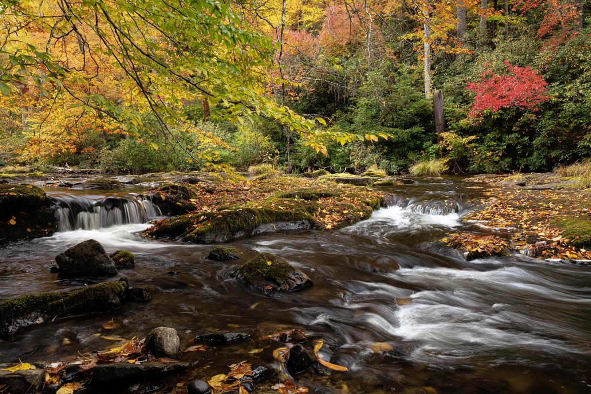 Mill Creek, Tennessee