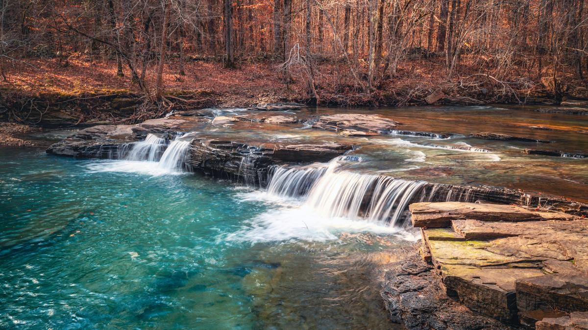 Illinois Bayou, Arkansas