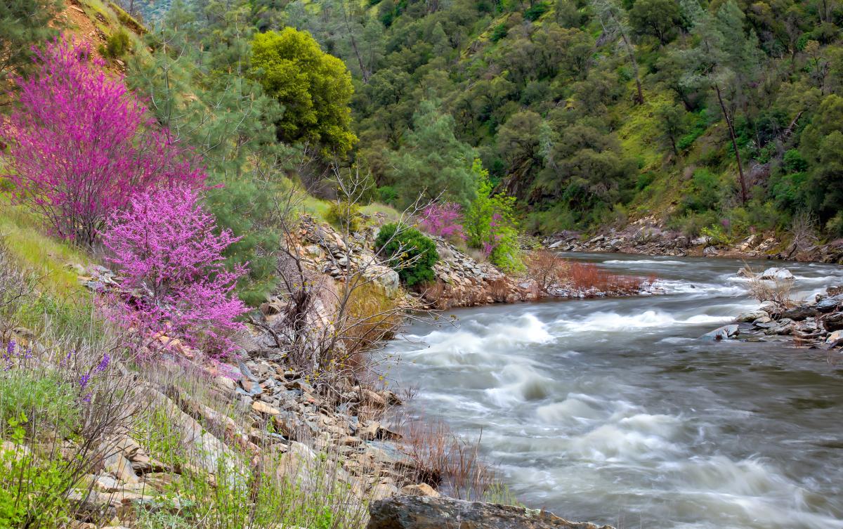 Merced River