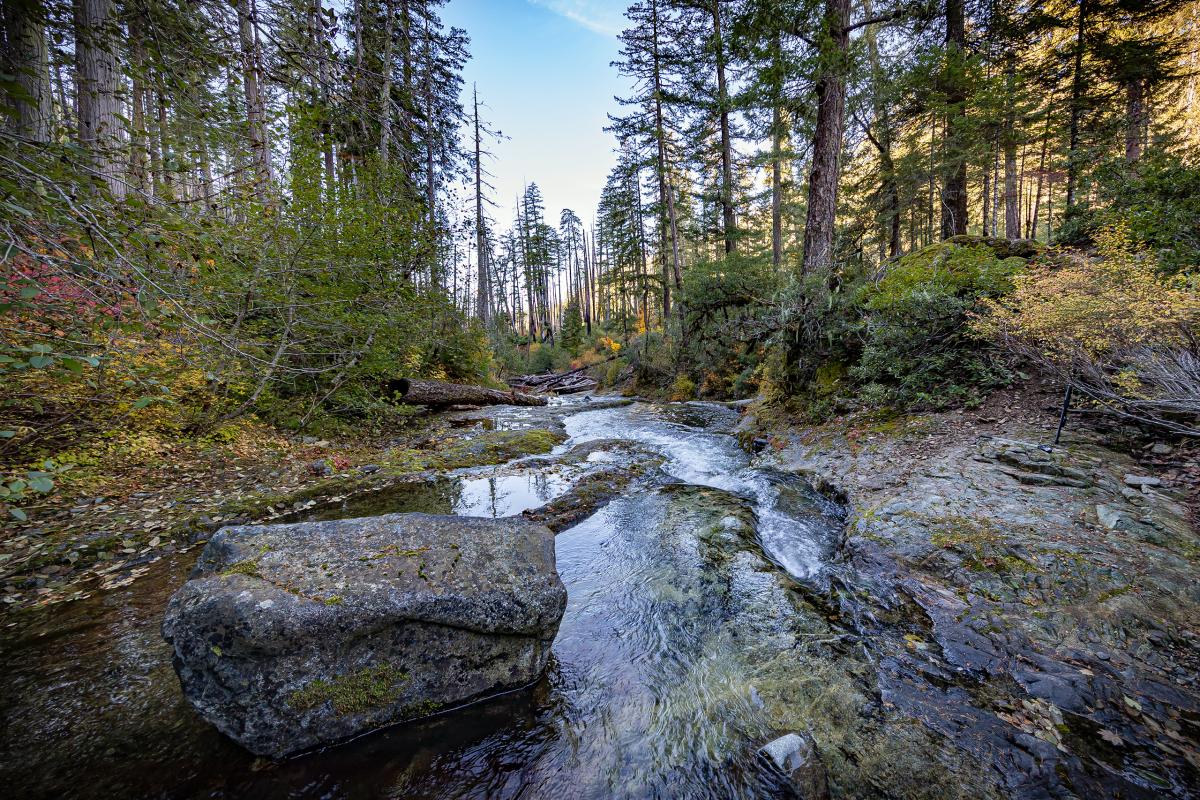 North Fork Silver Creek, Oregon