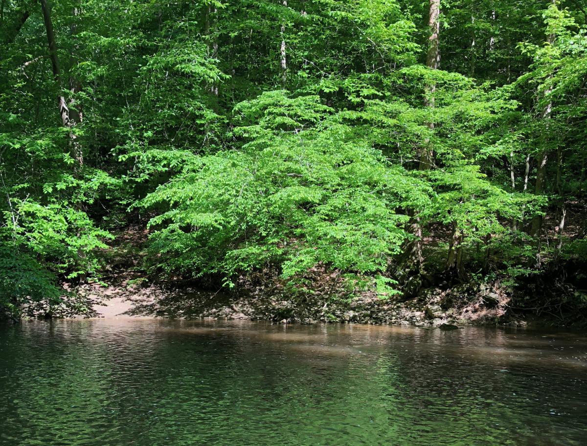 White Clay Creek, Delaware, Maryland & Pennsylvania